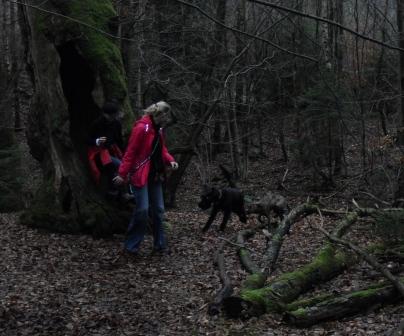 spaziergang 06.12 012.jpg