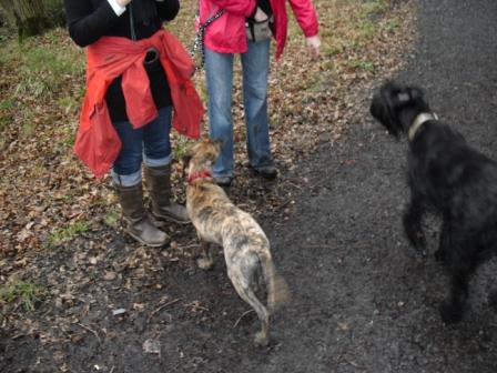 spaziergang 06.12 013.jpg