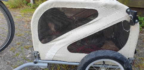 20210823_202537.jpg