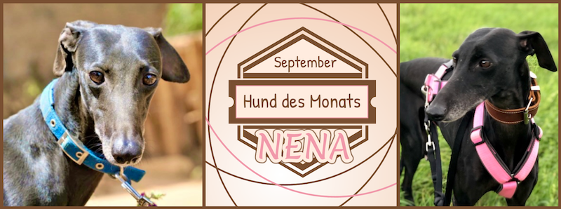NENA.png