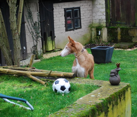 DSC_0819.jpg