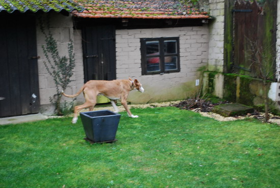 DSC_0820.jpg