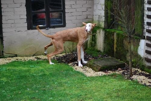 DSC_0822.jpg
