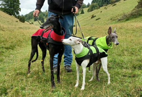 mauertal11-k.jpg