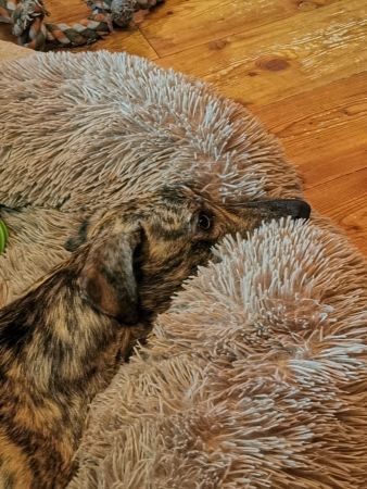 4379d2c6-3a69-410d-ab0d-06cbb9f46dcd.jpg