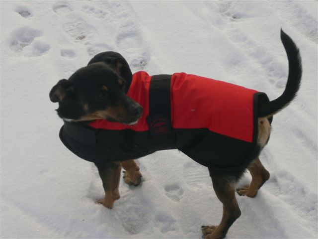 test 012.jpg