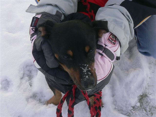 test 015[1].jpg