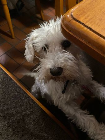 687e20b9-eb39-43f0-b45b-0e7e4bd3d8a1.jpg