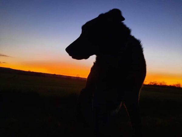 d0d1c8eb-49a2-40eb-a0dc-d08d7e12d5be.jpg