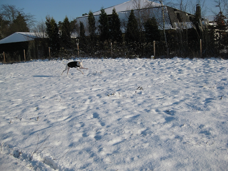 IMG_1202kl.jpg