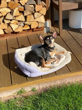 3b3d8bf0-7d68-4769-ac0e-2cd1b7de9be5.jpg