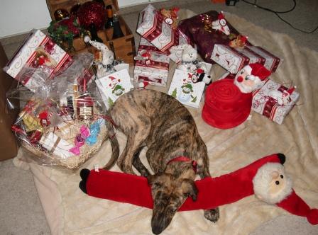 Vascos Weihnachten 003.jpg