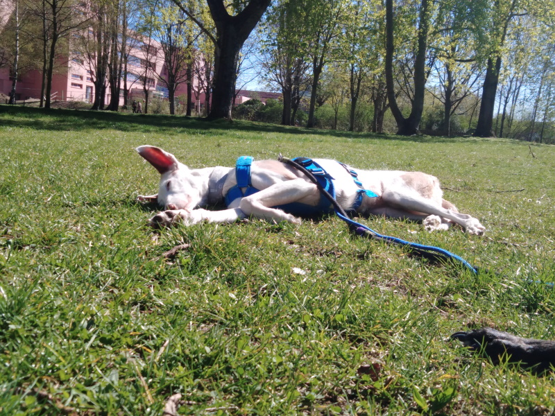 IMG_20220416_145130.jpg