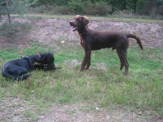 s_Bild 482.jpg