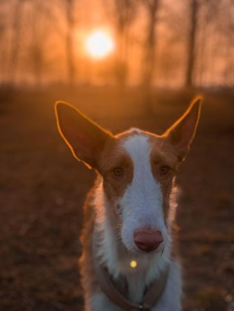 6e8996d2-91e9-4017-9a74-c2ada5151cb4.jpg