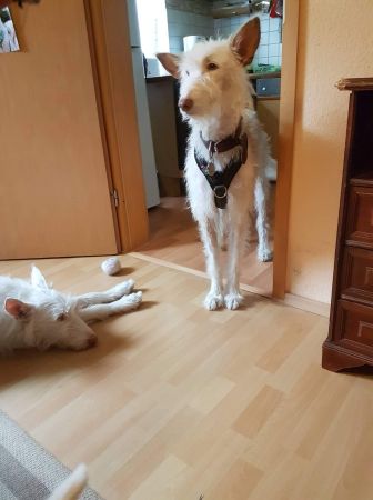 7c7c0cce-479e-46db-b7ab-2397f6fabdf4.jpg