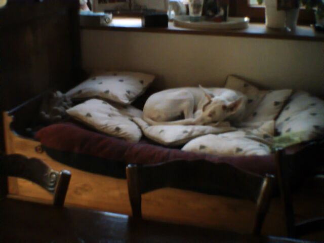 2009-12-27-133817-35.jpg