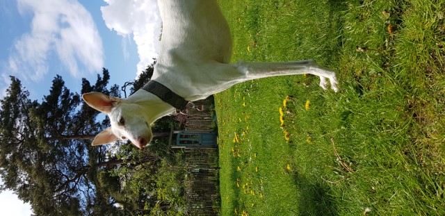 20210519_122133.jpg