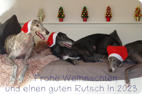 weihnachtskarte2022-k.png