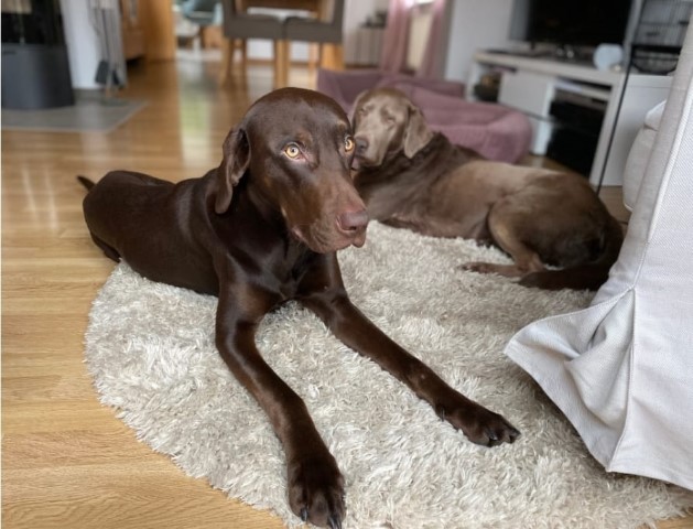 WhatsApp Bild 2023-01-23 um 15.11.30.jpg