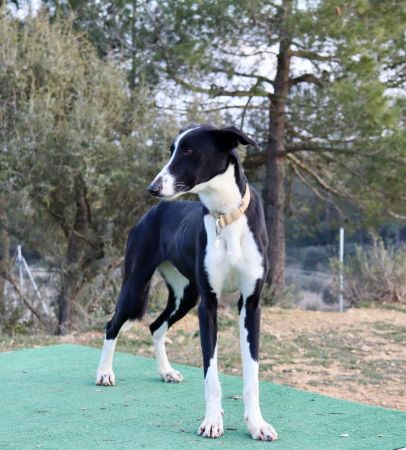 2ca6d223-aaac-4197-8212-41add8486f44.jpg