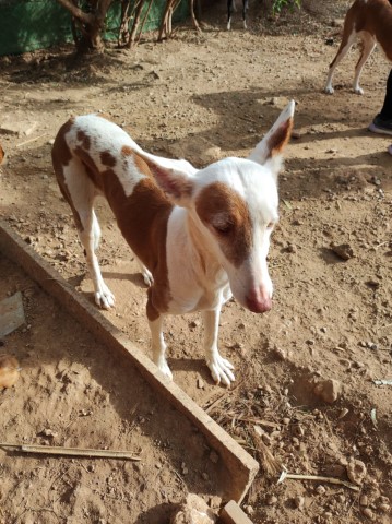 WhatsApp Bild 2023-03-09 um 12.29.34.jpg