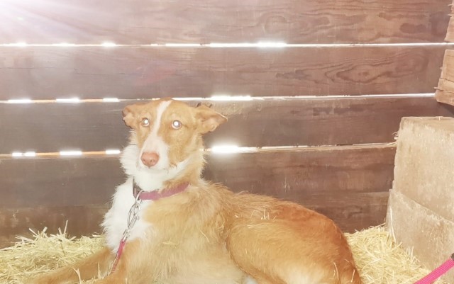 WhatsApp Bild 2023-03-07 um 13.50.27.jpg