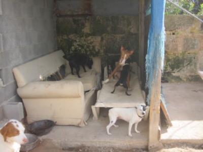 perrera 010 079.jpg