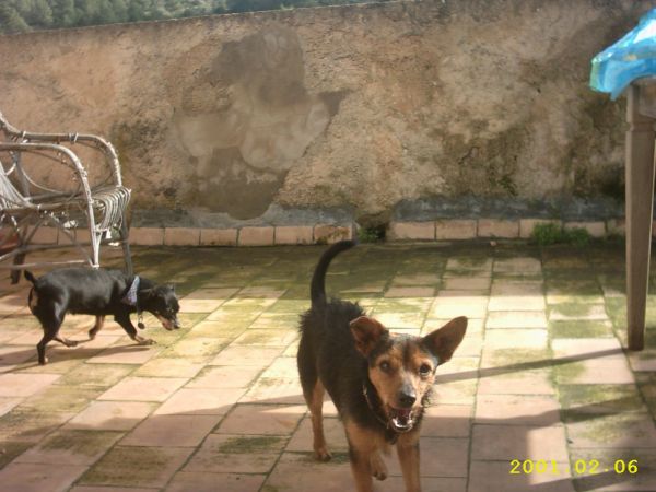 IMG_0001_600_450.jpg
