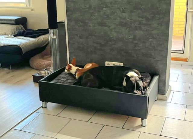 WhatsApp Bild 2023-09-14 um 15.17.24.jpg