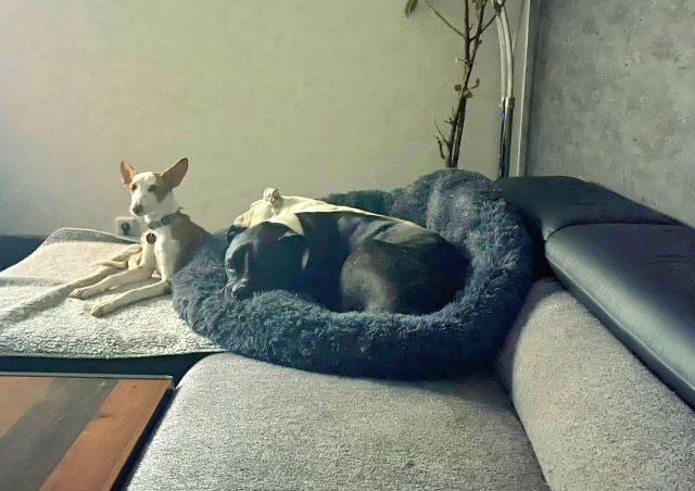 WhatsApp Bild 2023-09-14 um 15.17.241.jpg