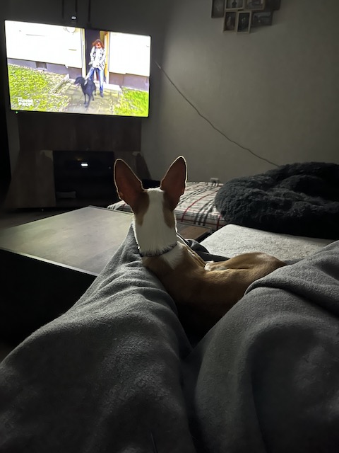 IMG_7897.jpeg