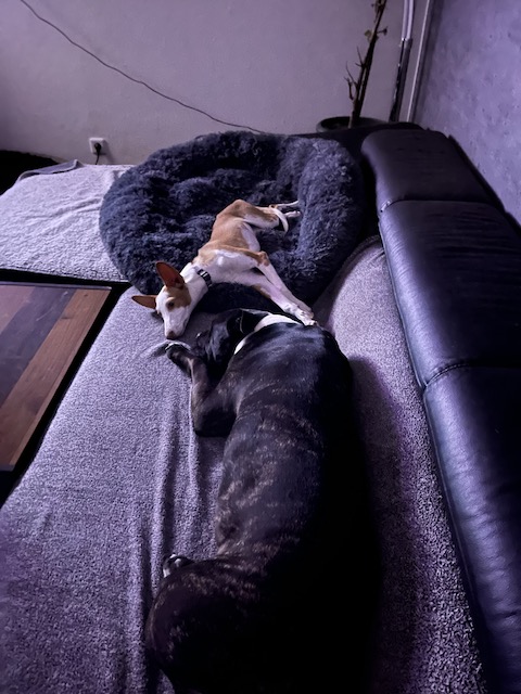 IMG_7837.jpeg