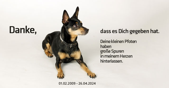 peppi_danke_psd.jpg