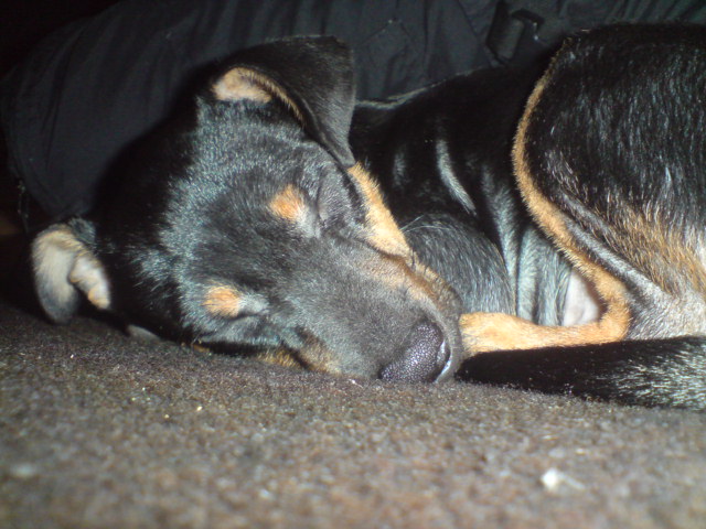 DSC01991.JPG