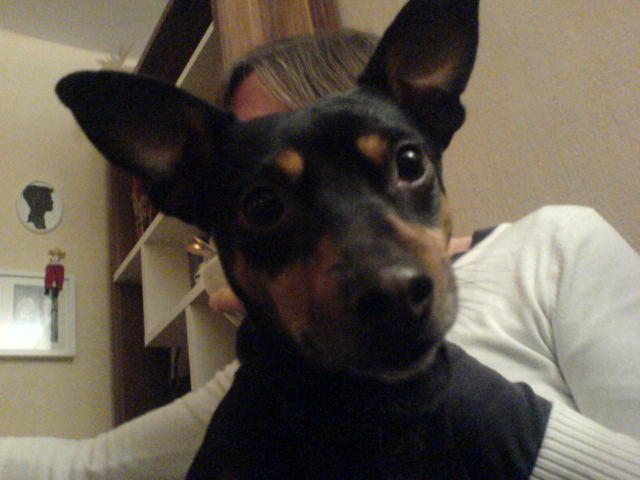 DSC03514.JPG