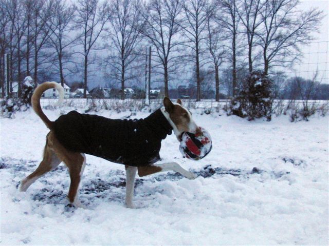 Rani mit großem Ball.jpg