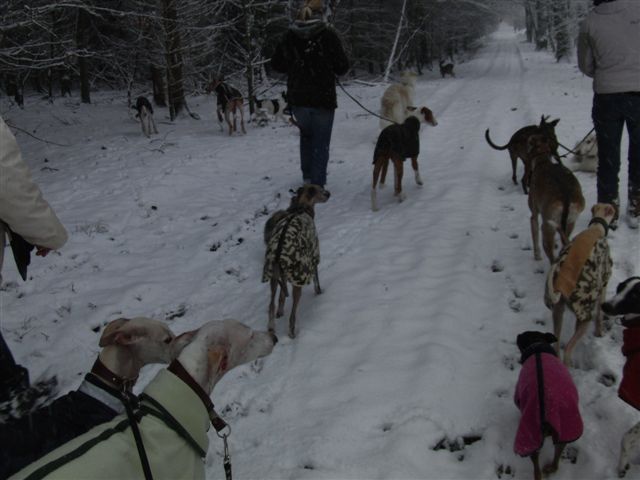 Silvesterspaziergang2.jpg