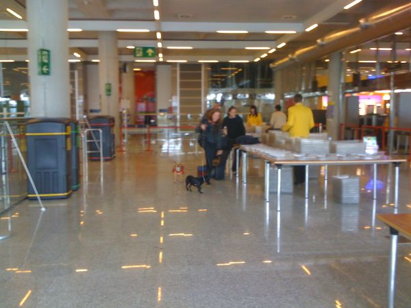 Flug008.jpg