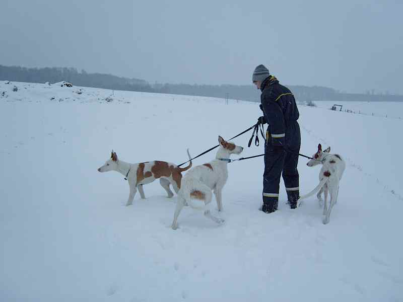 Hundis100110_5.jpg