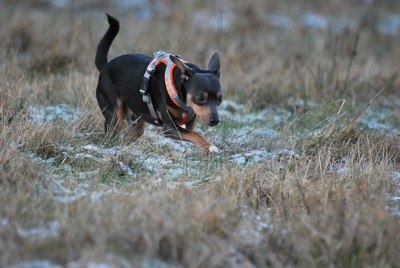 DSC_6497.JPG