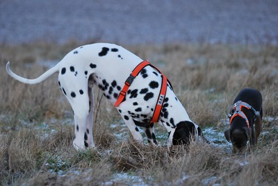DSC_6506.JPG