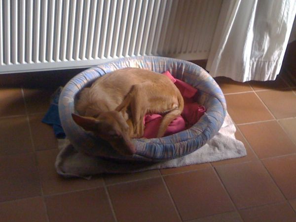 müde004.jpg