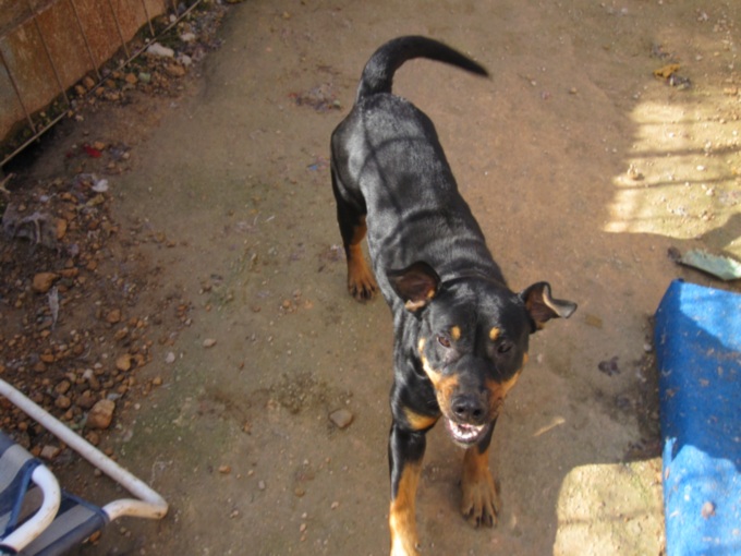 Kopie von Perrera3 078.jpg