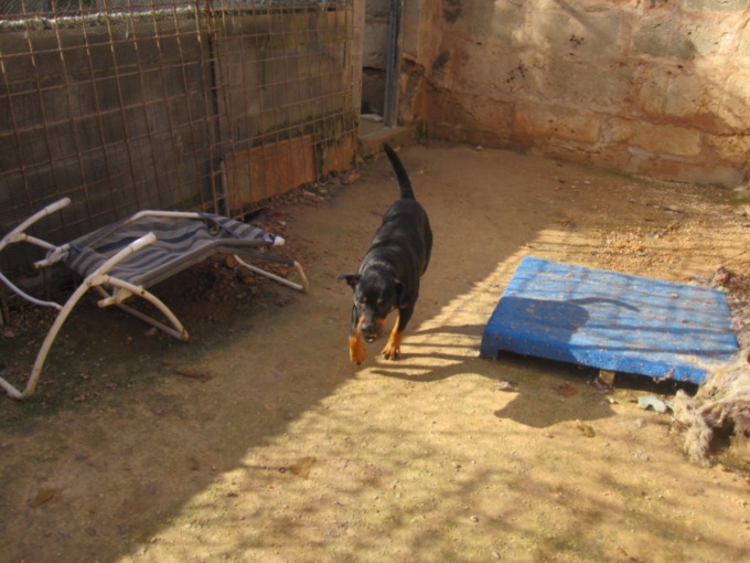 Kopie von Perrera3 081.jpg