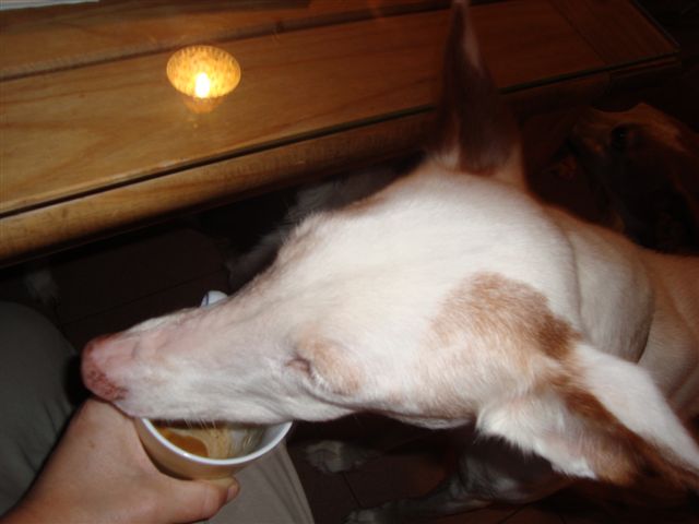 geniessen.JPG