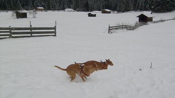 Stubai 2010 110.jpg