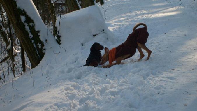 Stubai 2010 167.jpg