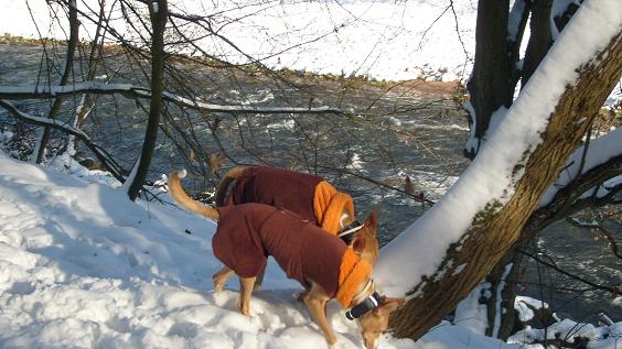 Nagoldspaziergang.jpg