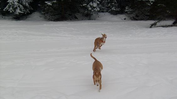 Stubai 2010 109.jpg